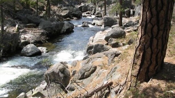 Un área boscosa con un arroyo y rocas grandes.