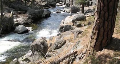 Riverfront Luxury Cabin, Dodge Ridge, mansikka, Pinecrest