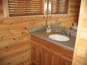 Combined shower/bathtub, hair dryer, soap, toilet paper