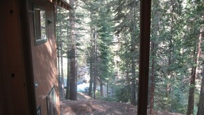 Vista desde una ventana a un área boscosa con un sendero de tierra y un edificio al fondo.