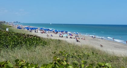 Beach Delight! Direct Oceanfront Beach Condo, Heated Pool, Ocean Views, Balcony