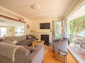 Televisor intel·ligent, llar de foc, llibres i estèreo 