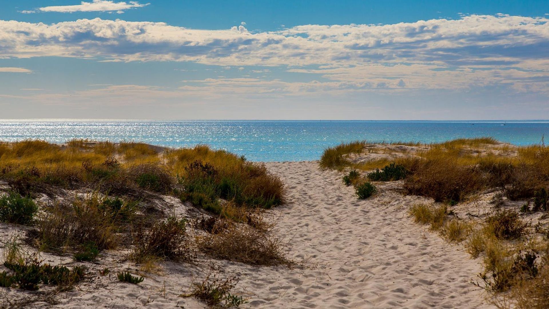 Beachside Sunset Vista Adelaide - couples getaway — image 12