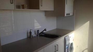 Una cocina con un lavabo, grifo y lavadora.