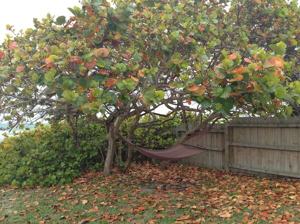 Una hamaca bajo un árbol con hojas verdes y anaranjadas, una cerca de madera y una zona cubierta de césped y hojas caídas.