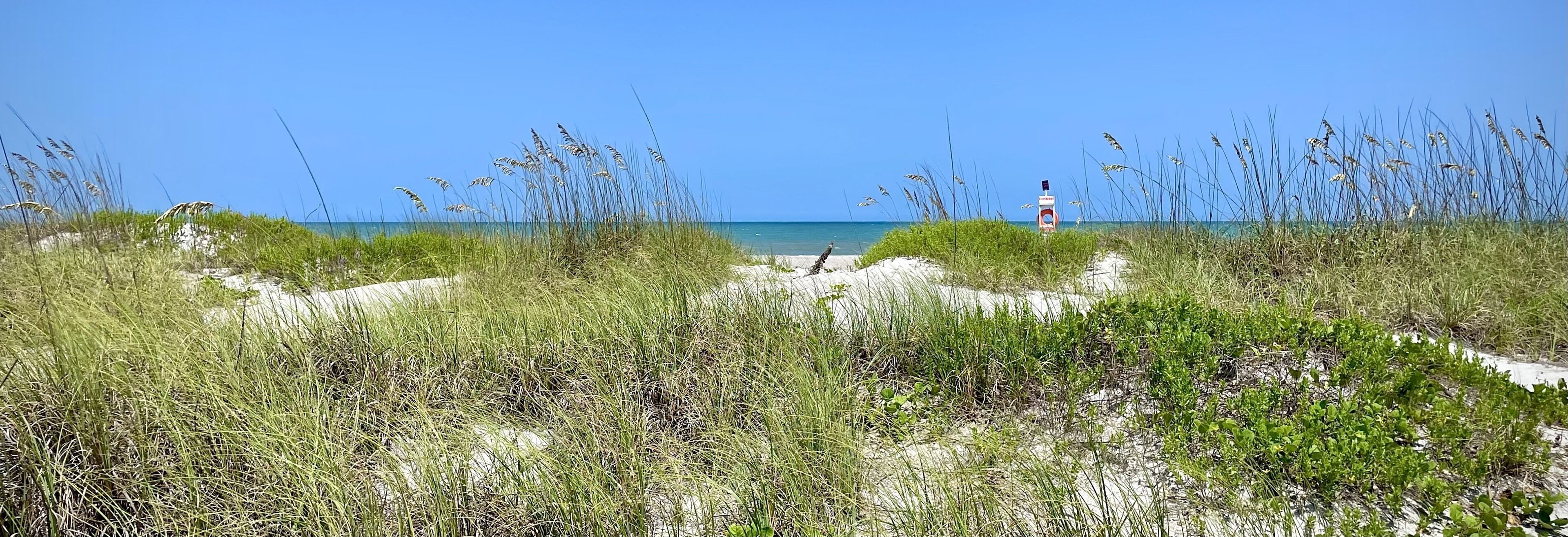 Plage, chaises longues, serviettes de plage