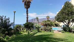 Un jardin bien entretenu, agrémenté de diverses plantes et d’un palmier, avec une piscine et une vue sur un paysage montagneux.