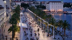 Un paseo marítimo animado con palmeras, vista al agua y edificios históricos.