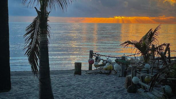 A beach scene with a palm tree, a wooden fence, and a calm sea during sunset.
