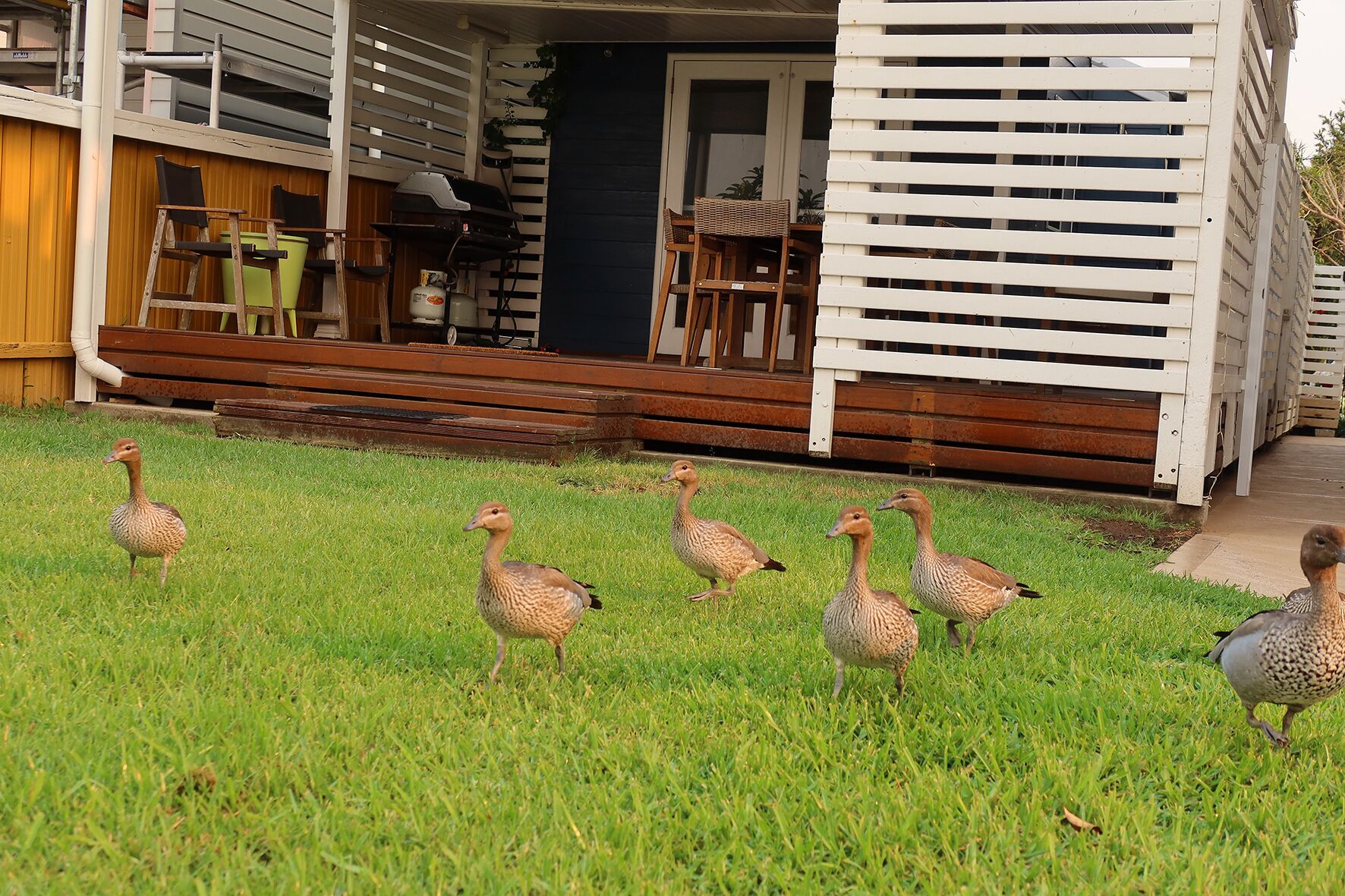 A house with a porch, outdoor furniture, and a grassy yard.