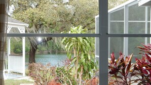 A view through a window of a pond surrounded by trees and plants. - Private Pool + Heated Hot Tub | Lake View (Davenport)
