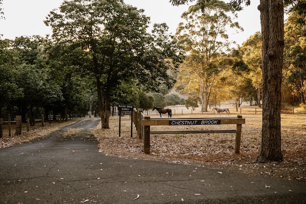 Welcome
Credit: Aaron Robbins Photography QLD