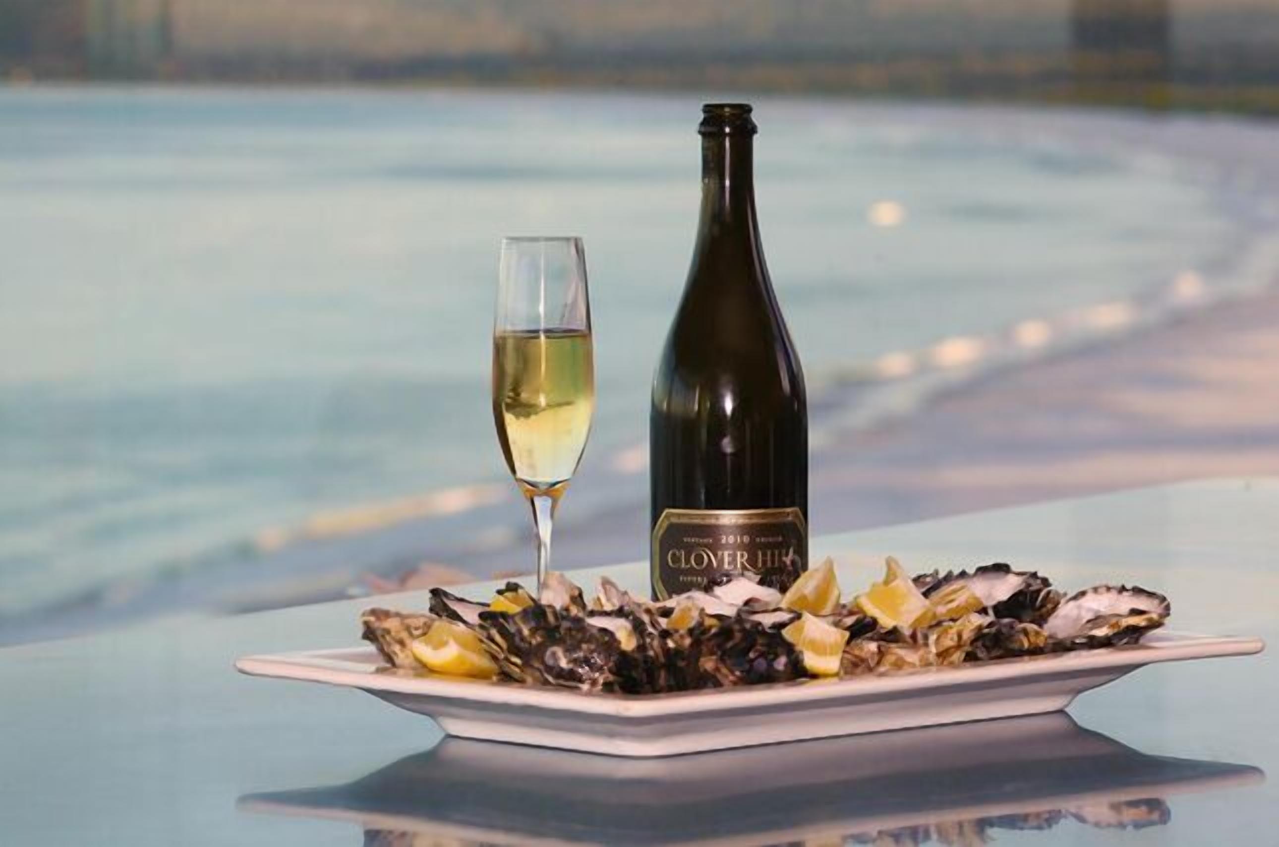 Eden at Bay of Fires – Stunning Views — image 3