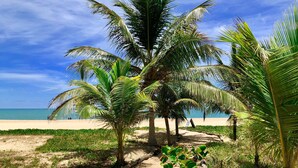 A sandy beach path lined with palm trees leading to a beach. - Beachfront village with natural pools near the condominium! (Camaçari)