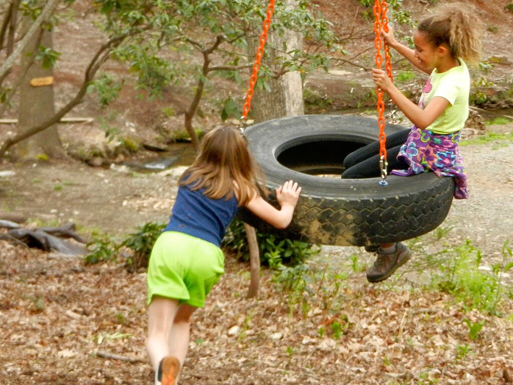 Two children playing on a tire swing in an outdoor setting.
