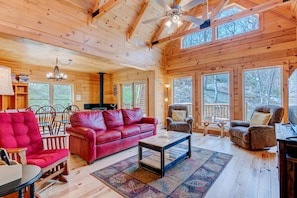 Smart TV, fireplace, DVD player, books