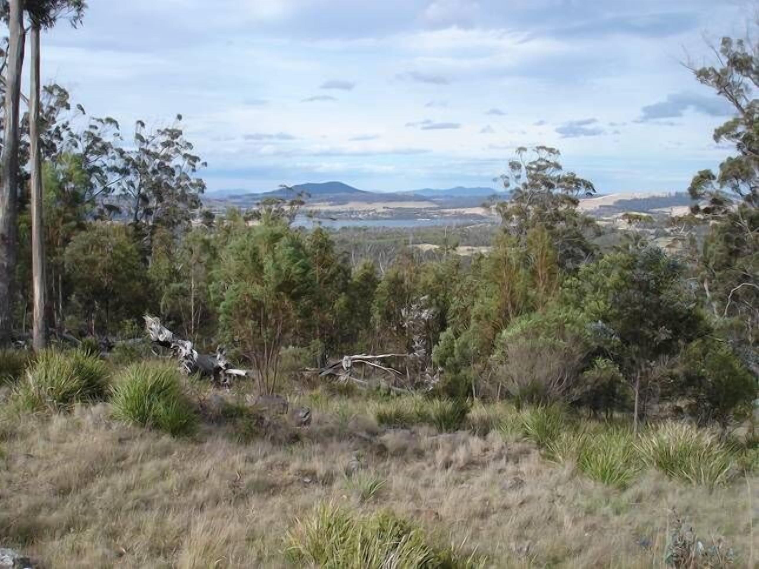 Annie's Cottage Orford — image 20