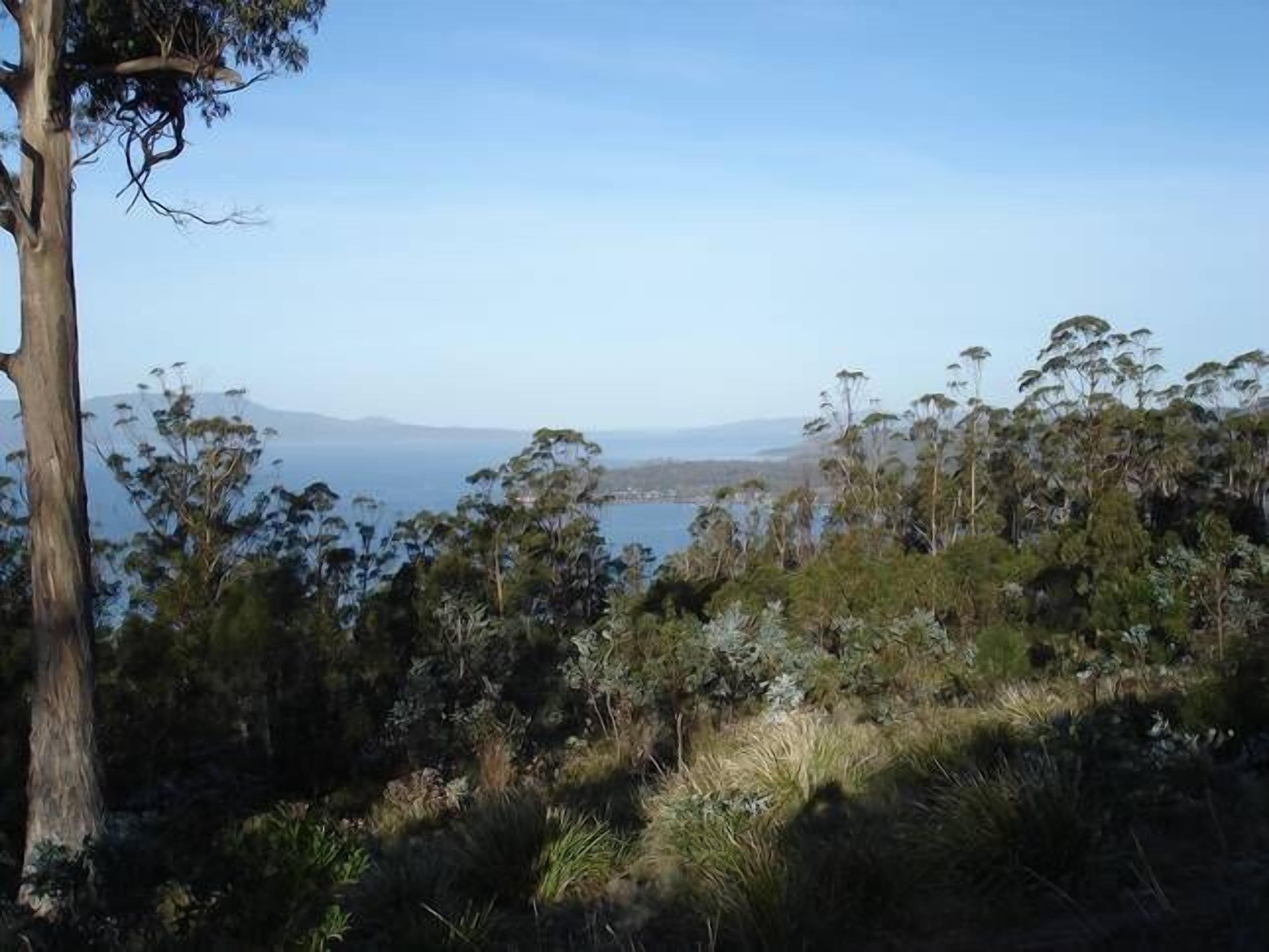 Annie's Cottage Orford — image 9