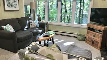 Televisión, chimenea