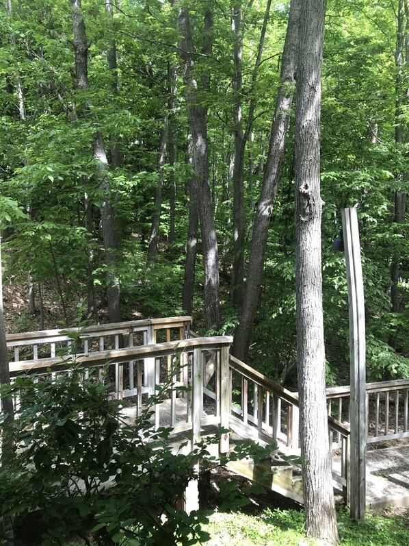 A wooden deck in a forested area with tall trees and dense foliage. -  Chic and Comfortable - Openings:  Aug 22 & 23 (Glen Arbor)