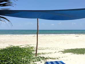 Relax under a shaded area surrounded by lush greenery and the soothing ocean.