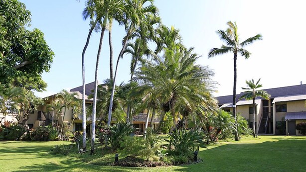 A hotel with a well-maintained lawn, palm trees, and a building with a flat roof and multiple windows.