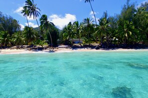 A beach with clear turquoise water, palm trees, and a small building on the shore.