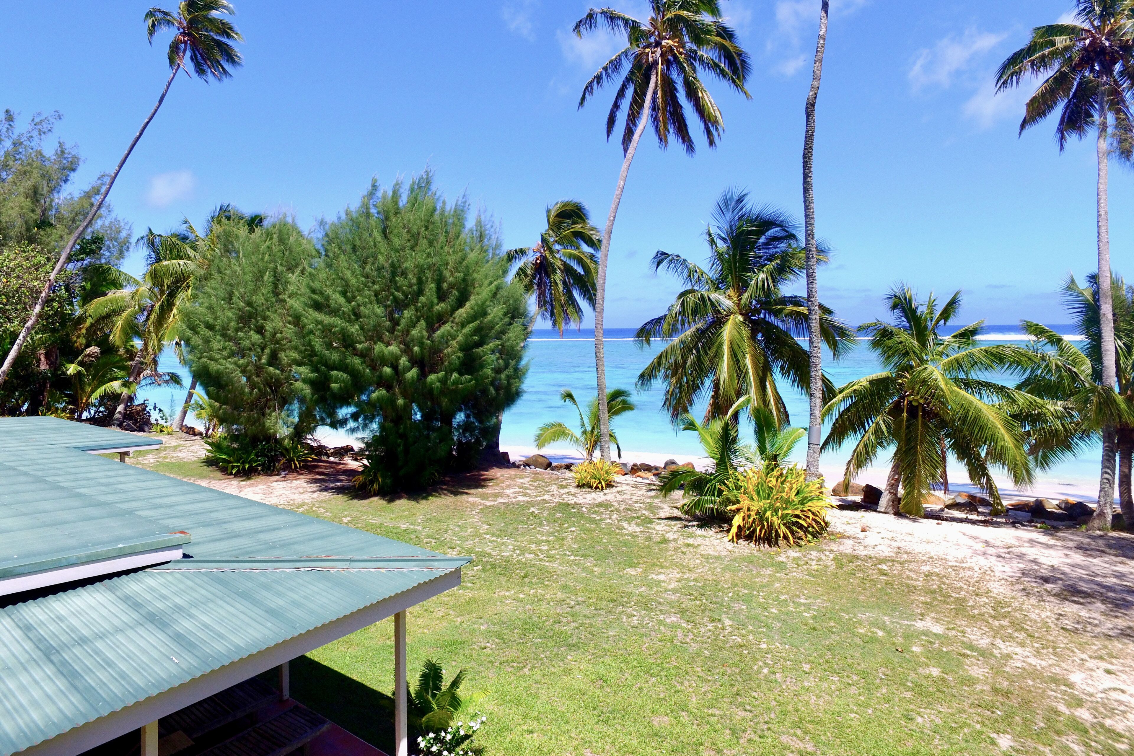 A beach view with palm trees and a clear sky.