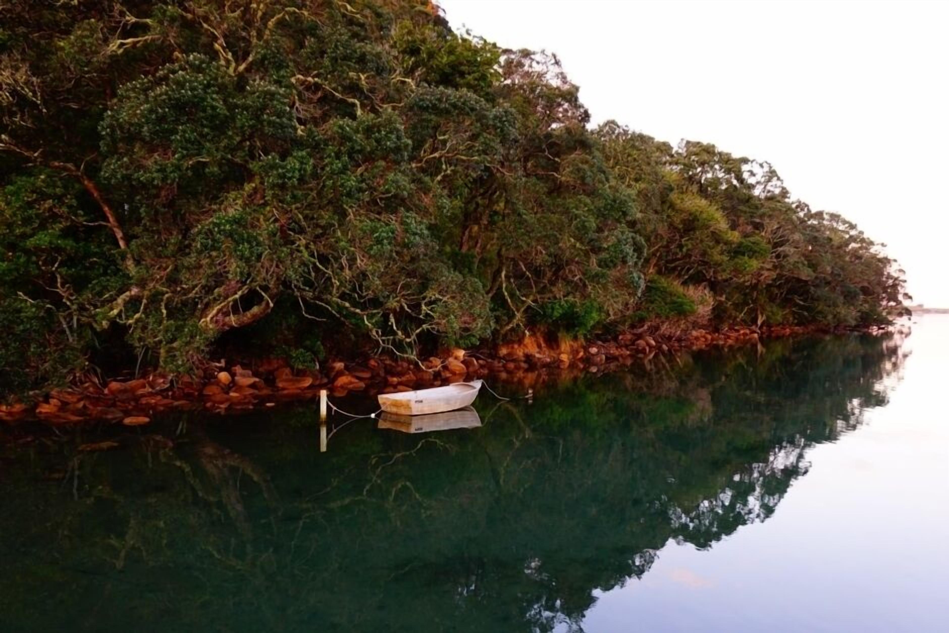 A calm river with a small boat anchored near a rocky shore with dense vegetation.