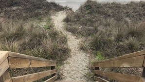 A wooden staircase leading to a beach with a sandy path surrounded by grass. - Oceanfront Home on Folly Beach, SC (Folly Beach)