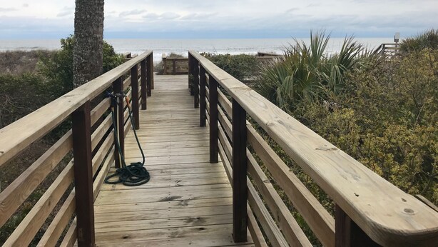 A wooden boardwalk leading to a beach with a palm tree and vegetation on either side. - Oceanfront Home on Folly Beach, SC (Folly Beach)