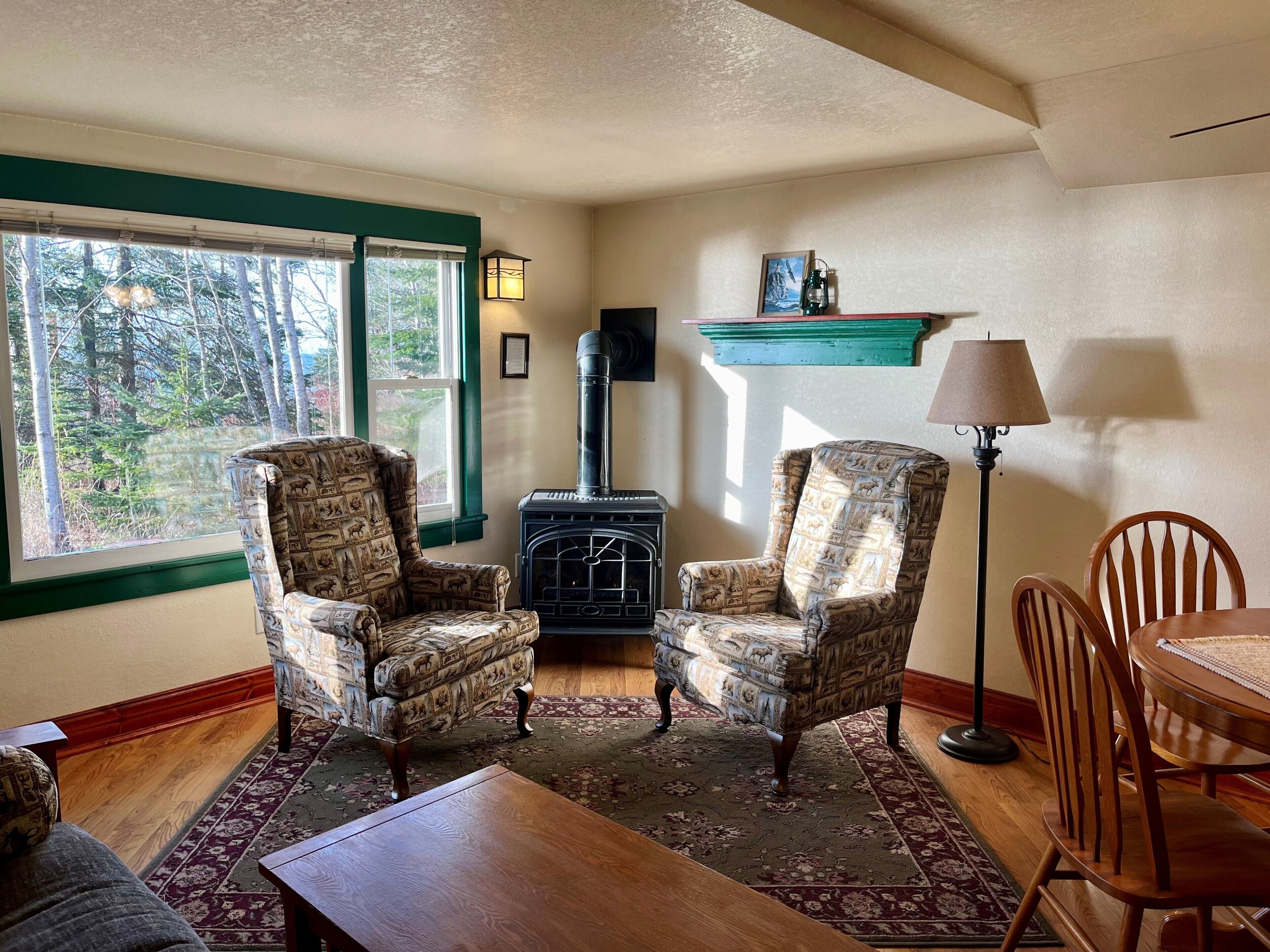 Smart TV, DVD player, books, video library