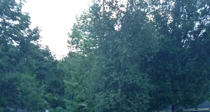 Relax at Crescent Lake