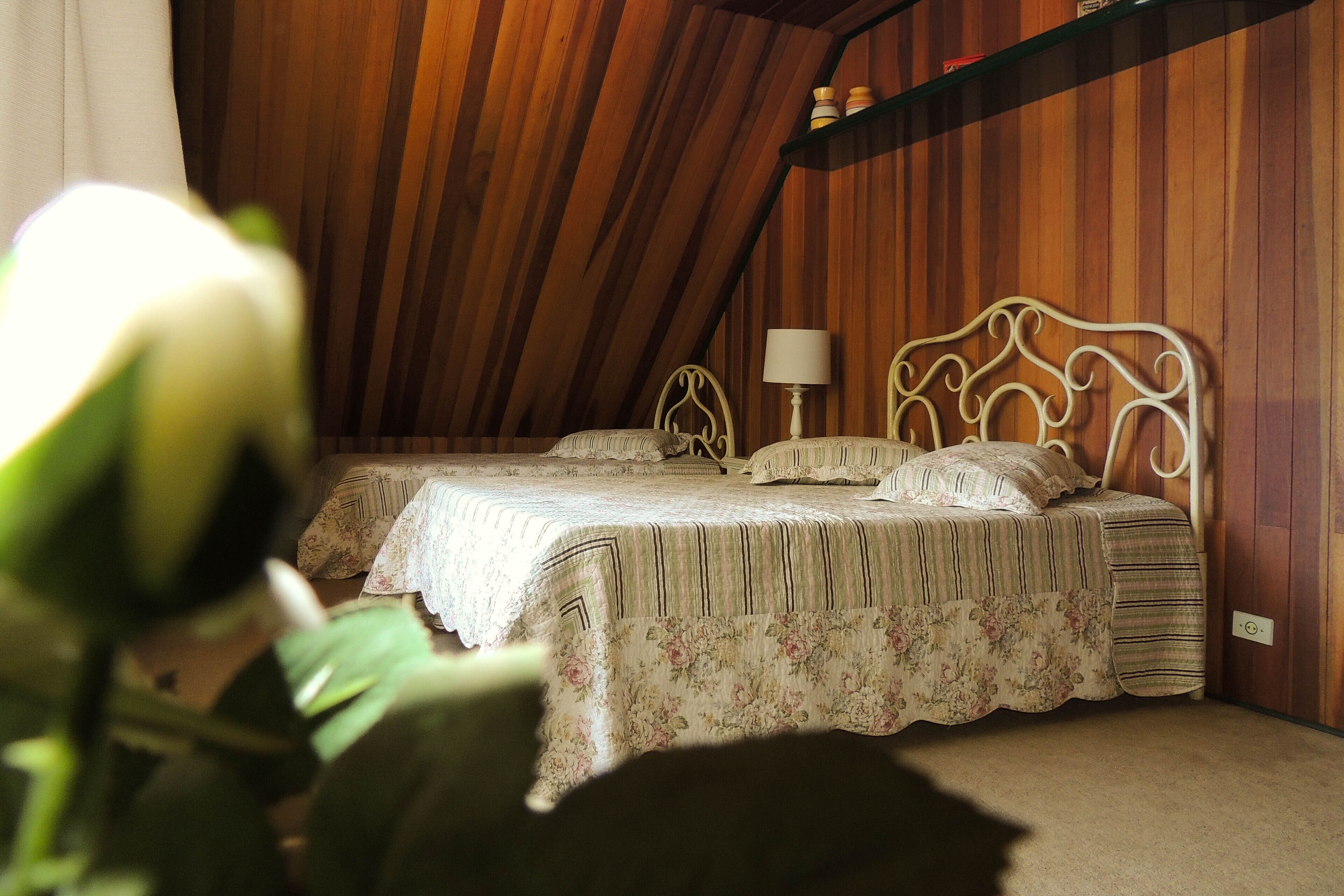 House on the top Capivari