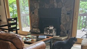 A cozy living room with a stone fireplace, a brown leather couch, and a dog standing on a patterned rug.