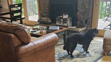 Smart TV, fireplace, video games, books