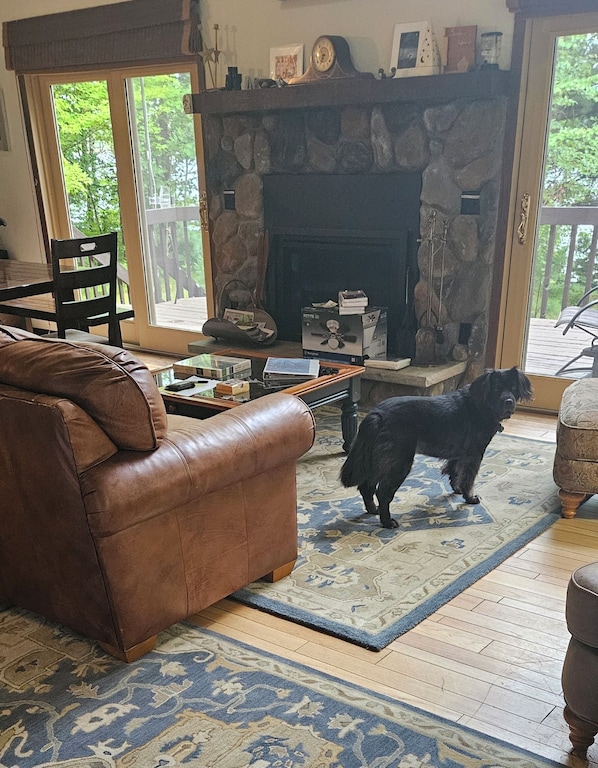 A cozy living room with a stone fireplace, a brown leather couch, and a dog standing on a patterned rug. - Beautiful Wisconsin Lakefront Rental (Park Falls)