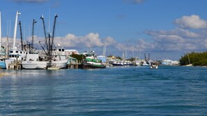 Una marina con diversi tipi di imbarcazioni ormeggiate, tra cui pescherecci e yacht, sotto un cielo azzurro limpido.