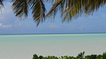 Plage, chaises longues, serviettes de plage