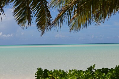 Beachfront one bedroom studio with full kitchen, covered porch and open deck.