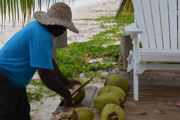 Coconuts 101 with Louis