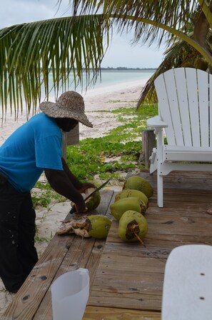 Property grounds - Beachfront one bedroom studio with full kitchen, covered porch and open deck. (Spanish Wells)