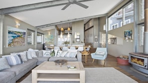 TV, fireplace, video-game console