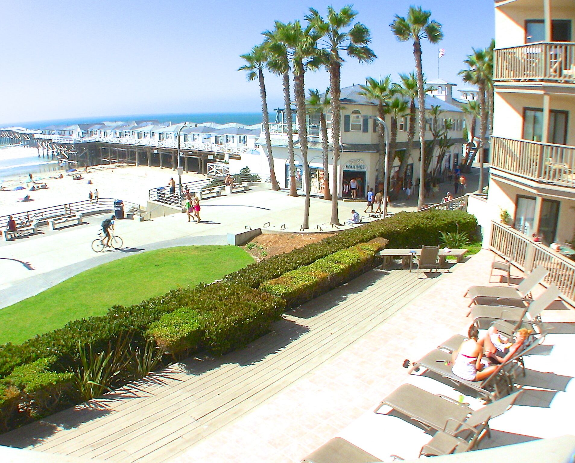 A beachfront hotel with a pool area, palm trees, and a view of the ocean.