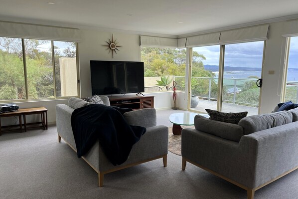 Smart TV, fireplace, video game console, DVD player