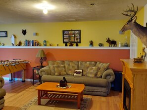 TV, fireplace, video games, DVD player