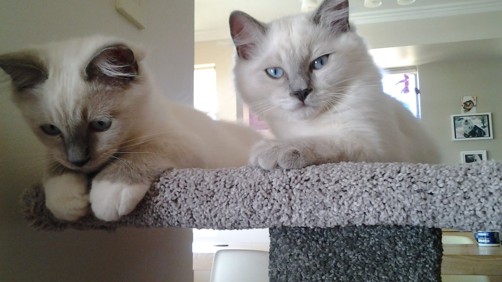 Sorrento Beach Retreat — image 5