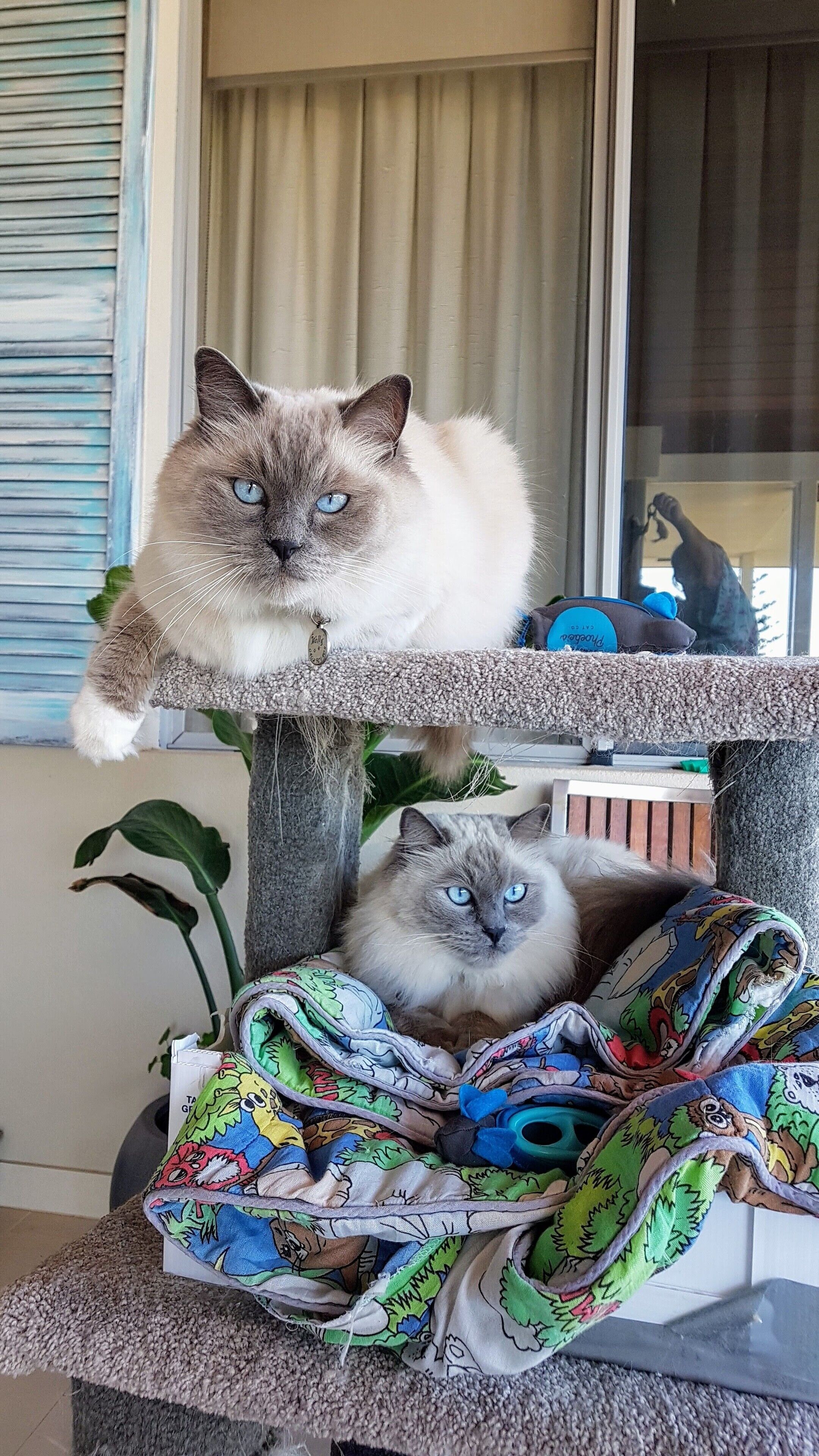 Sorrento Beach Retreat — image 7