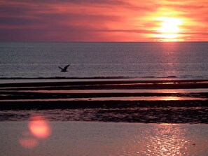 Beach nearby, sun loungers, beach towels