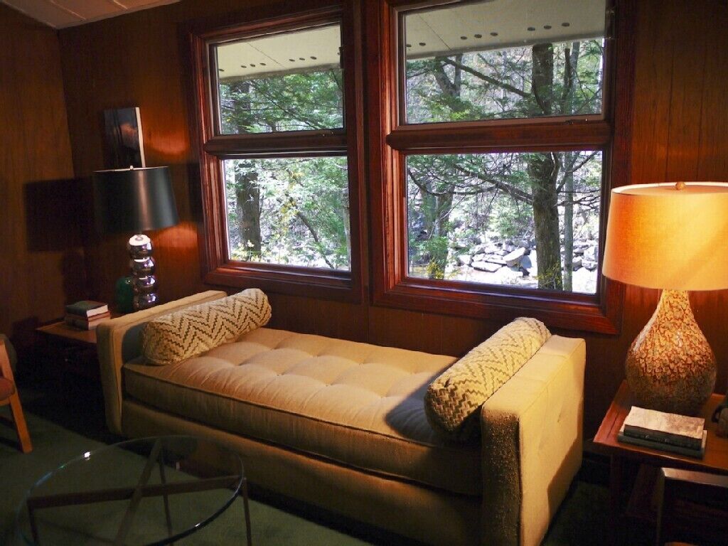 Waterfront Mid-century Modern Gem Surround by Forever Wild Land